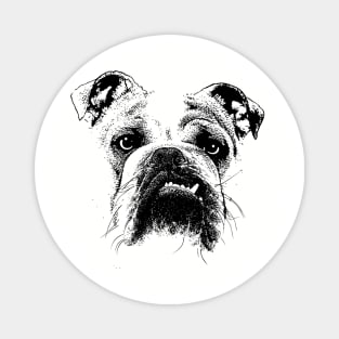 Bulldog T-shirt - English Bulldog lovers Magnet